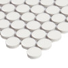 Style_Access_Lungarno_Finish_Line_NHVANPRM_Vanilla_Pennyround_Matte_Mosaic_Tile_3