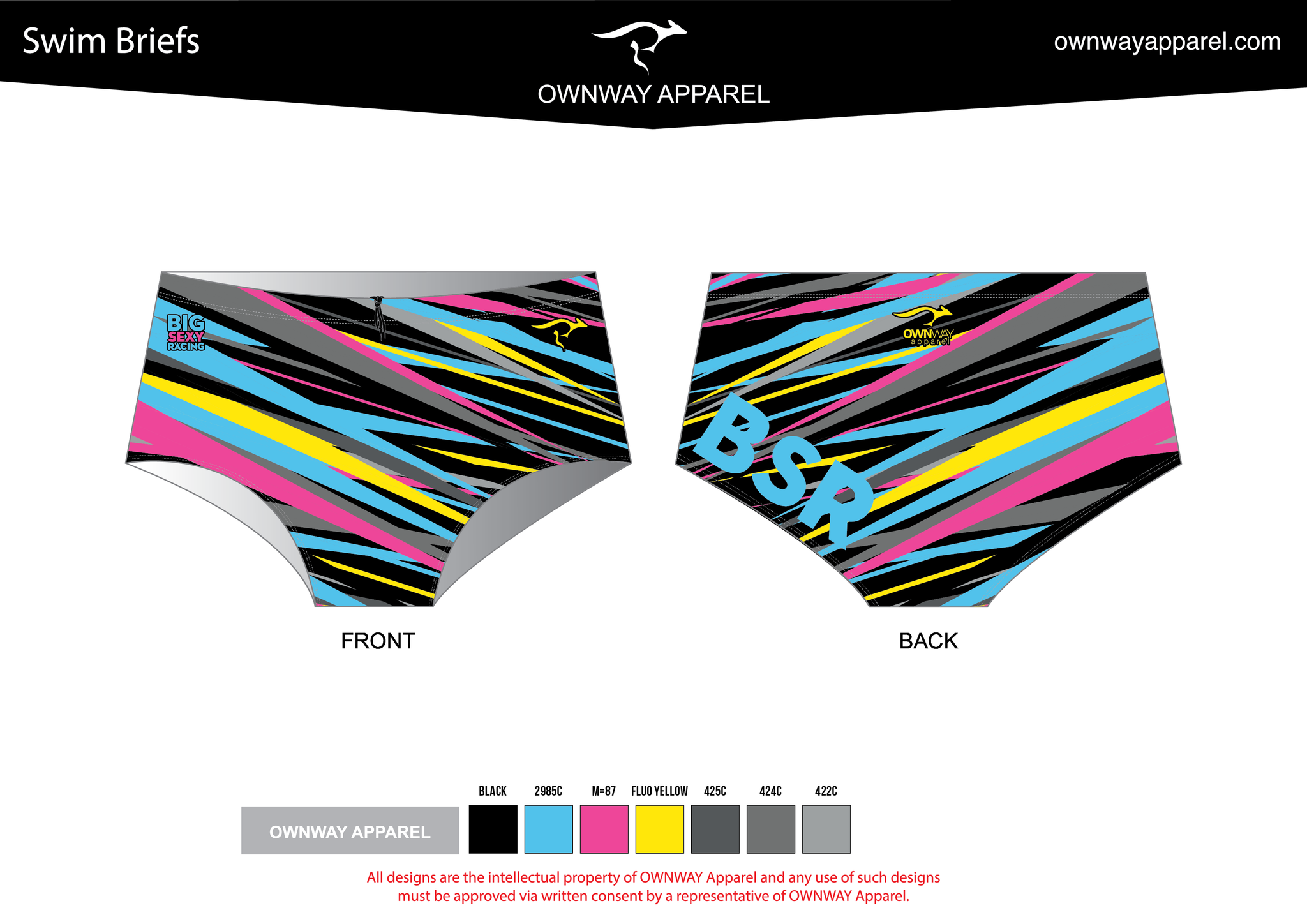 2021 BSR MEN'S SWIM BRIEF Own Way Apparel