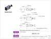 STC 3R210-1/4S Manual Air Valve- 1/4" NPT, 3 Way, 3 Port, 2 Position Valves - Non Detented Pull/Push