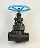 Chicago Valve Series 284 - Class 800, 1-1/4" Forged Steel Gate Valve, Threaded Ends, OS&Y