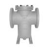 Titan FCI BS 85-CS Series- 2" Simplex Basket Strainer, 150# Flanged, Clamped Cover, Carbon Steel Body