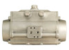 Bonomi DA100 - Stainless Steel Double Acting Actuator 0-90&deg;F