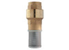 2" Bonomi 100102 - Foot Valve, Brass, FNPT Threaded