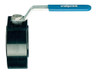 3/4" Bonomi 720289 - Ball Valve, Wafer Style, Carbon Steel, Full Port, Manually Operated