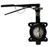 2-1/2" Jomar Valve BFV-Lug EPDM, Lug Style, Epoxy-Coated Ductile Iron Body, Stainless Steel Disc, EPDM Seat, Lever Handle Butterfly Valve 2-1/2" Jomar Valve BFV-Lug EPDM, Lug Style, Epoxy-Coated Ductile Iron Body, Stainless Steel Disc, EPDM Seat, Lever Handle Butterfly Valve