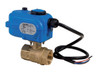 Bonomi 8E864-00 Series - Ball Valve, 2 Piece, 2 way, Brass, FNPT Threaded, Full Port, with Electric Actuator