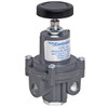 ControlAir Type 410 Series High Precision Pressure Regulator, 429-841-453, 410-BBN, 0 - 10 Psig (0 - 0.7 Bar), 1/4" National Pipe Thread, Non-Relieving