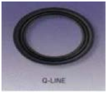 4" Sanitary Solutions SS40QT-4, Q-LINE White Teflon Gaskets