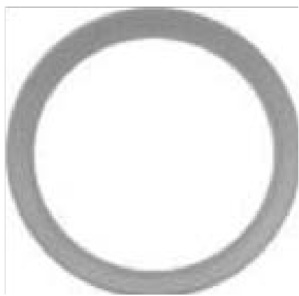 10" Sanitary Solutions SS40MVFU-10, Flanged Schedule 5 (Pipe) BUNA Clamp Gasket