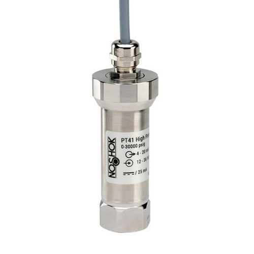 NOSHOK PT41 Series High Pressure Fixed Range Pressure Transmitter PT41-58000PSIG-2-1-6-36, 0 to 58000 psig, 4 mA to 20 mA, 2-Wire, ±0.25% Span, Integral Cable 3 Ft