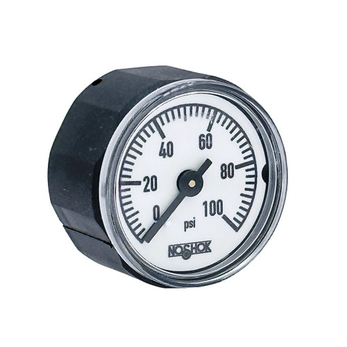 NOSHOK 100 Series Acrylonitrile Butadiene Styrene (ABS) & Steel Case Dry Pressure Gauges, 10-110-100-psi-R1/8, 1" ABS Case & Socket, Copper Alloy Bourdon Tube, 100 psi, 1/8 BSPT Back Connector