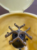Fisher Scientific 225 Centrifuge