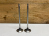 John Deere RE531221 Intake Valve Kit Genuine OEM Engine Valve Set