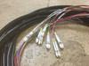 Fiber Optic Cable FARR13037AAH029FTH Delphi