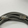 GigaTrue 550 Cat6 Patch Cable EVNSL620-0015 Black Box 550Mhz, Gray, 15 ft.