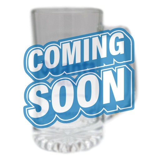 24 oz Quanta energy Mug 3.3