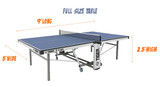 Ping Pong Room Size