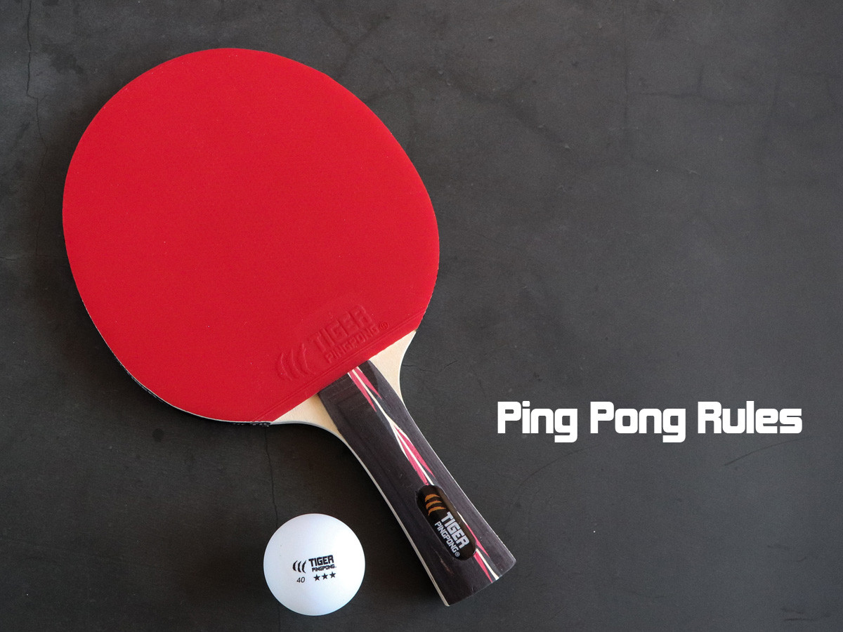 Ping Pong Rules Learn The Basics Start Playing Tiger PingPong