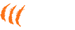 Tiger PingPong