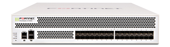 fortinet-3100d