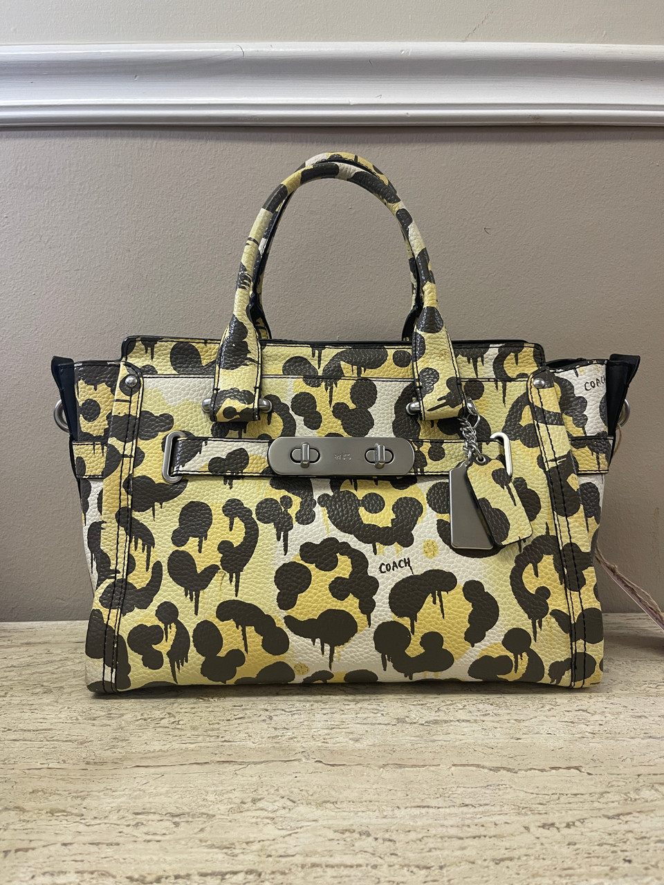 Coach wild 2025 beast handbag