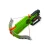 Nerf Zombie Strike Crossfire Bow