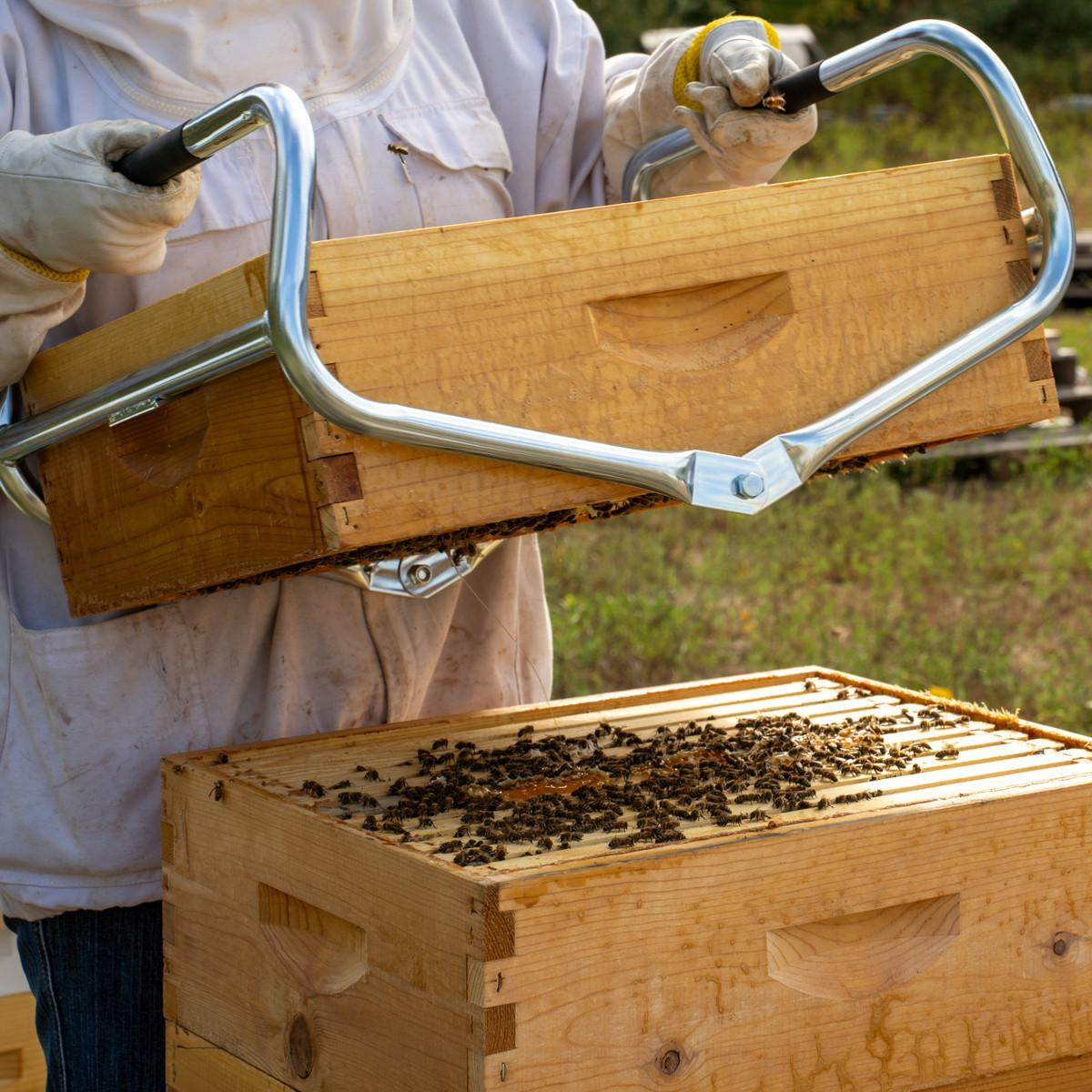 BEEHIVE（蜂の巣）　カイフランク Single Hive / Super Carrier | Mann Lake Ltd.