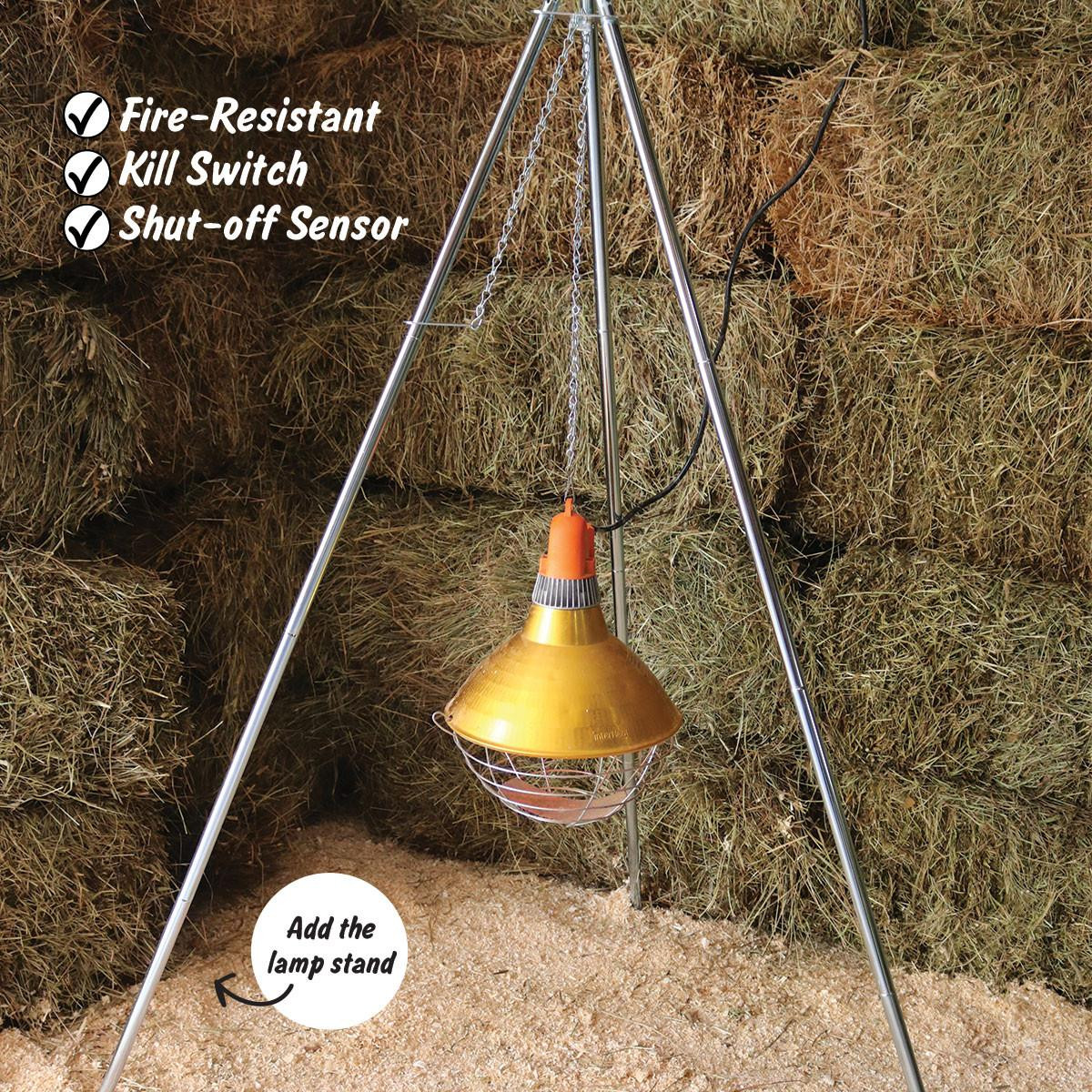Stainless Steel Tripod | Mann Lake Ltd.