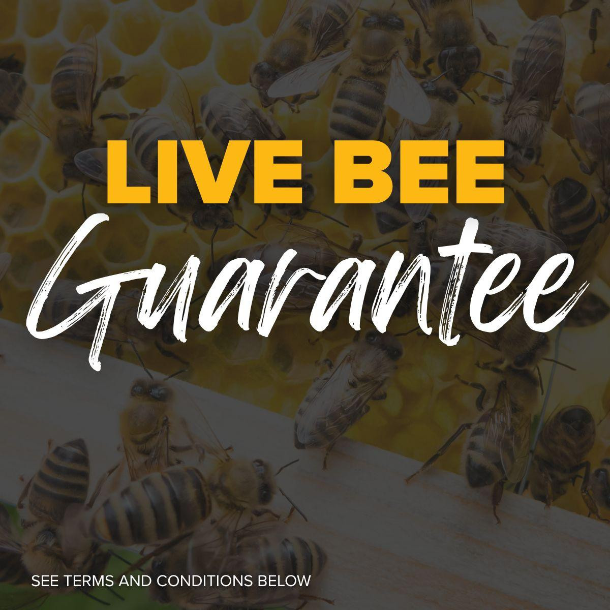 Live_Bee_Guarantee_Website_Gra