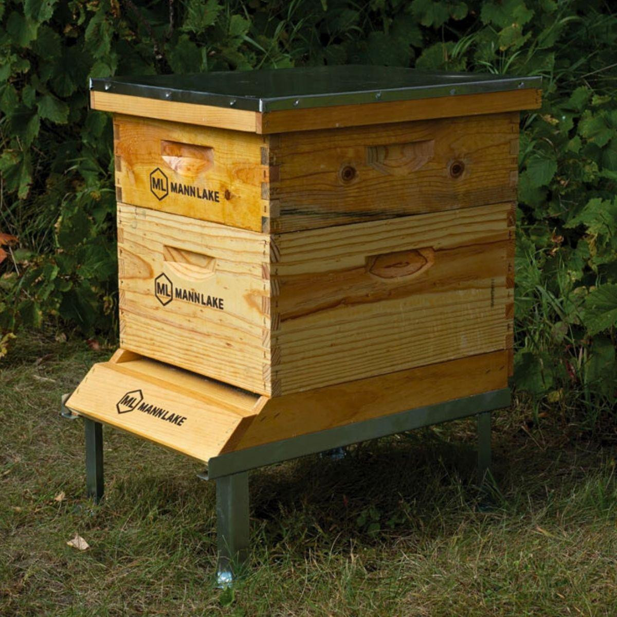 BEEHIVE（蜂の巣）　カイフランク Collapsible Elevated Bee Hive Stand - Metal | Mann Lake