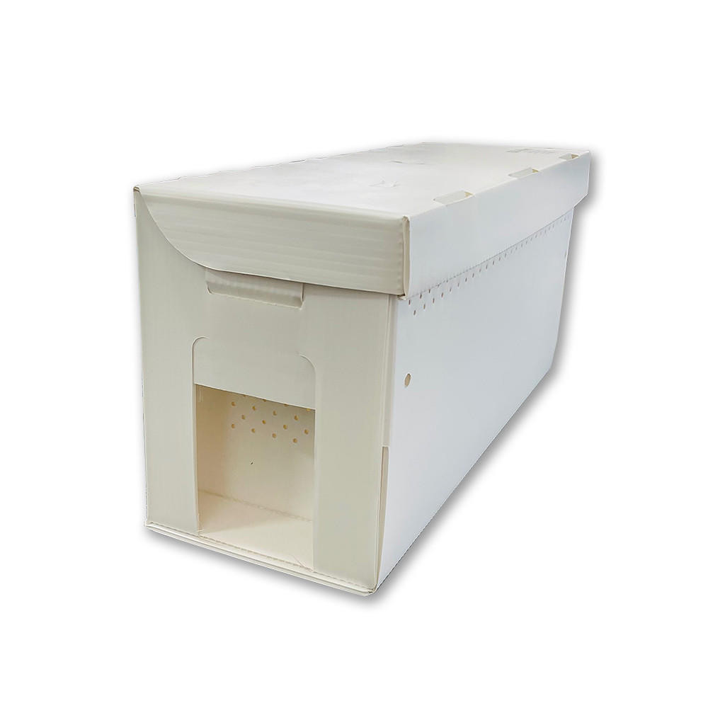 5 Frame Florida Raised Italian Nuc - Winter Haven, FL - Pickup