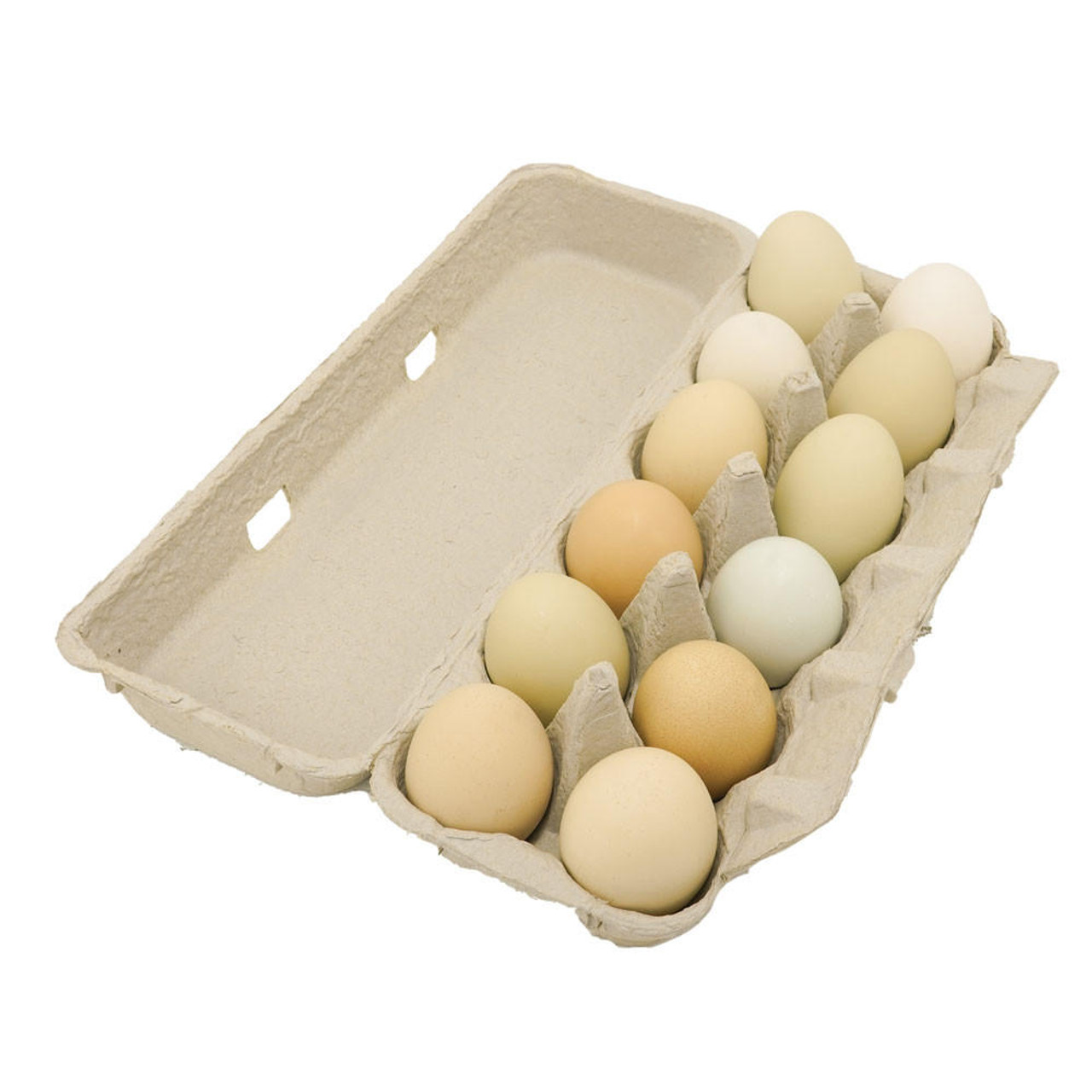 Large Blank Flat Top Chicken Egg Cartons, 100 Pack by Stromberg's