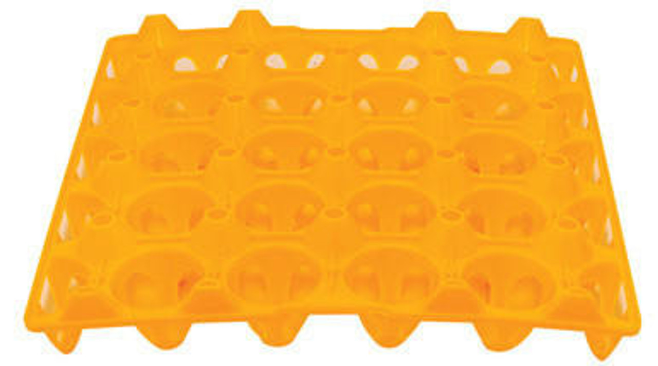 20 Jumbo Egg Plastic Egg Tray by Mann Lake