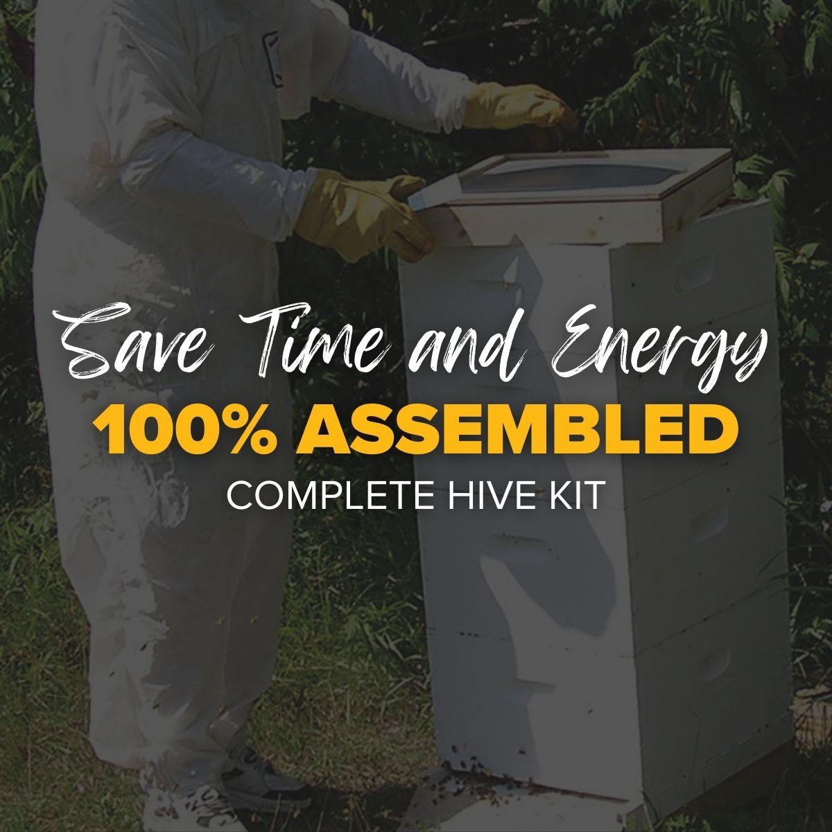 My Next Hive, Assembled