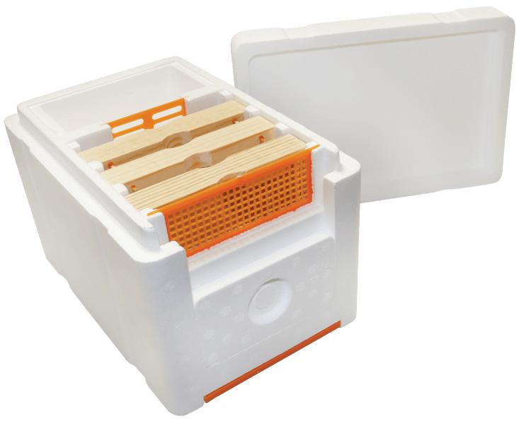 Mini-Mating Nucs for Sale | Built-in Feeder & Excluder