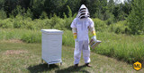 3 Reasons To Use A Beehive Stand