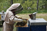 7 Steps To Help Your Honey Bees Prepare For Winter