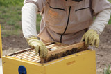 How to Install Nucleus Colony Bees