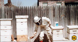 Tips For Painting Hives The Right Way