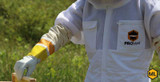 How To Store Your Beekeeping Equipment