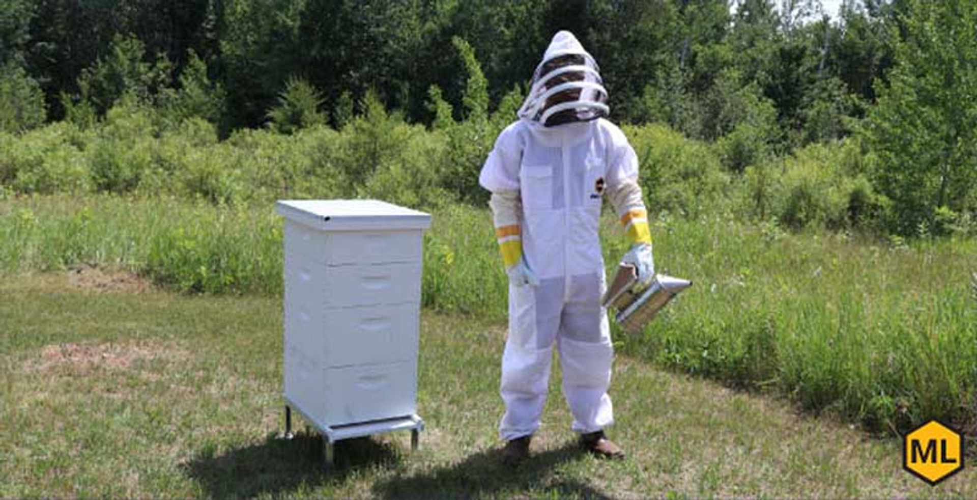 3 Reasons To Use A Beehive Stand thumbnail image