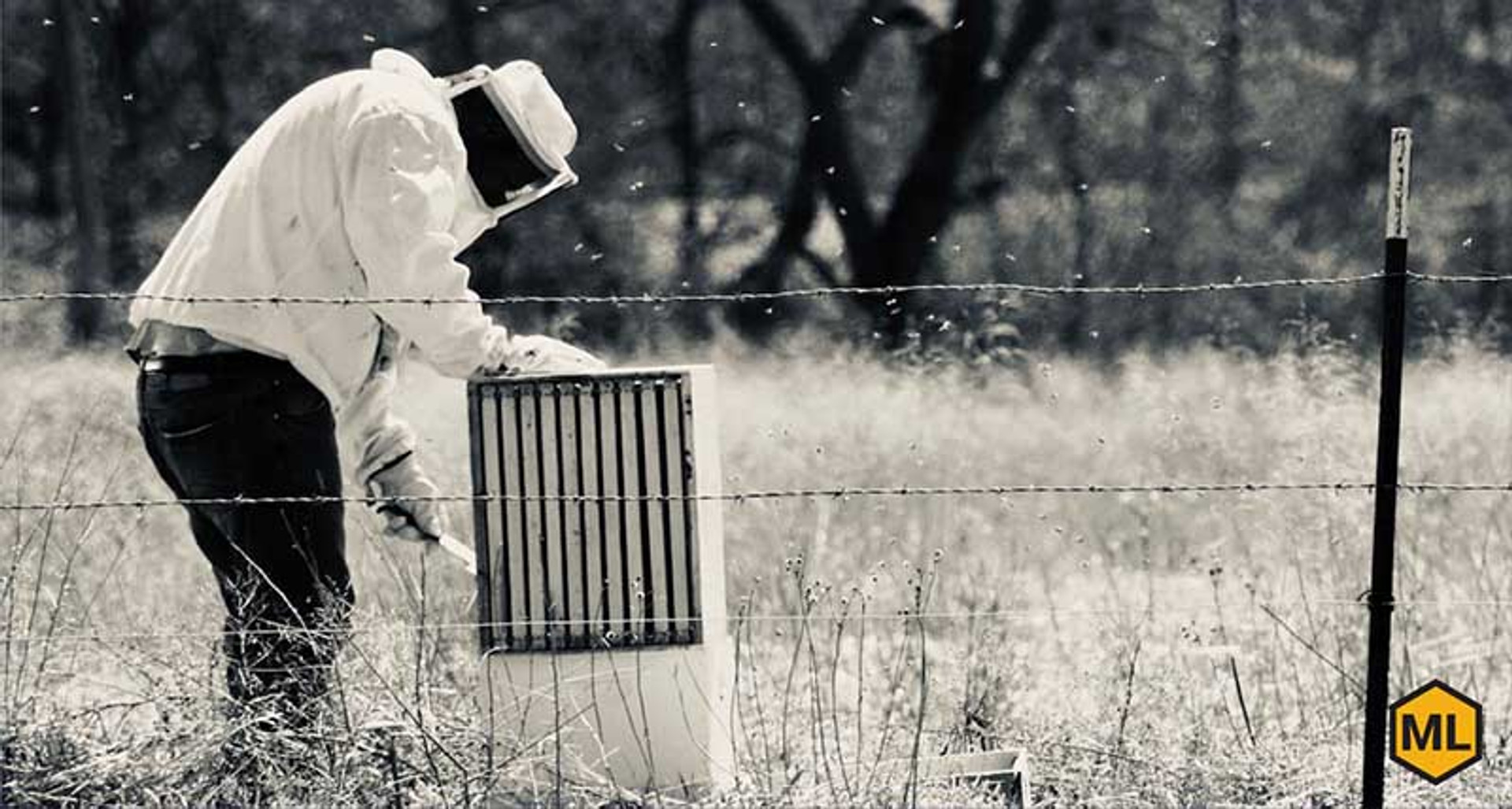 A Brief History of Beekeeping thumbnail image