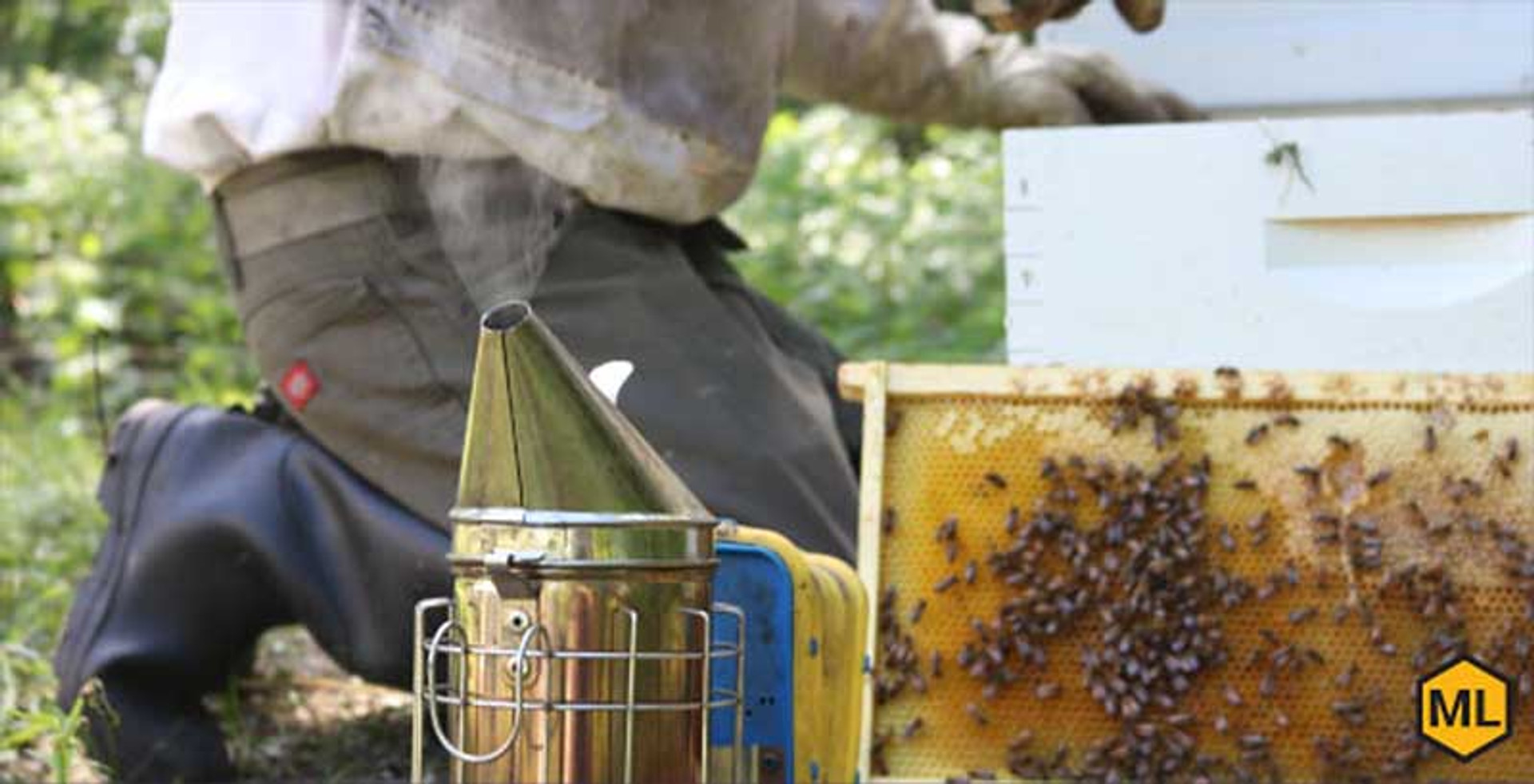 Pro Tips: Using Bees Wax