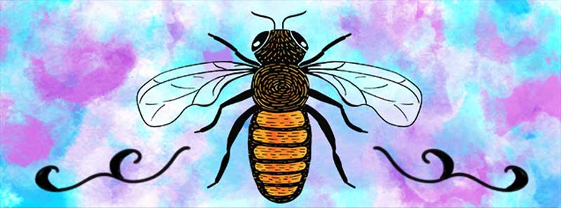 How to Install Bees in a Hive thumbnail image