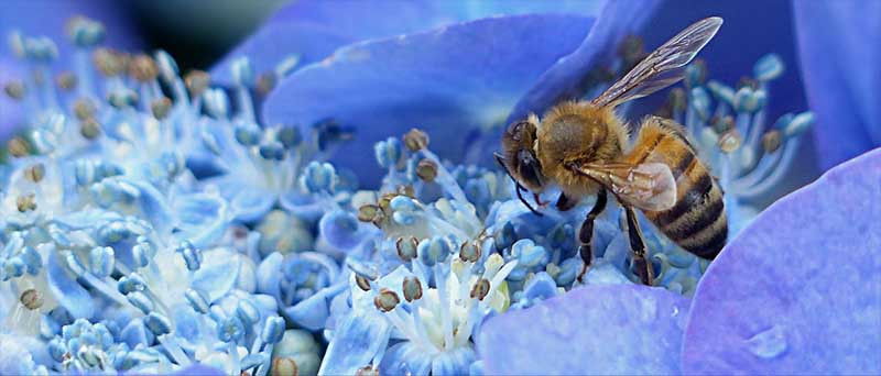 Supplies Party thumbnail image