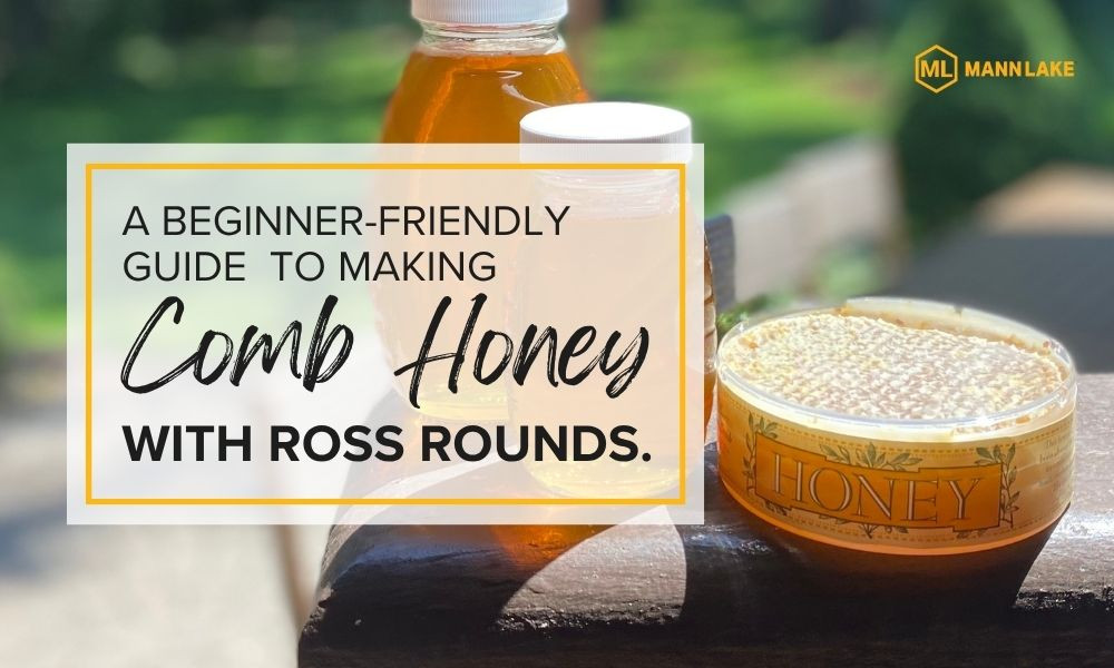 A Beginner-Friendly Guide to Making Comb Honey with Ross Rounds  thumbnail image