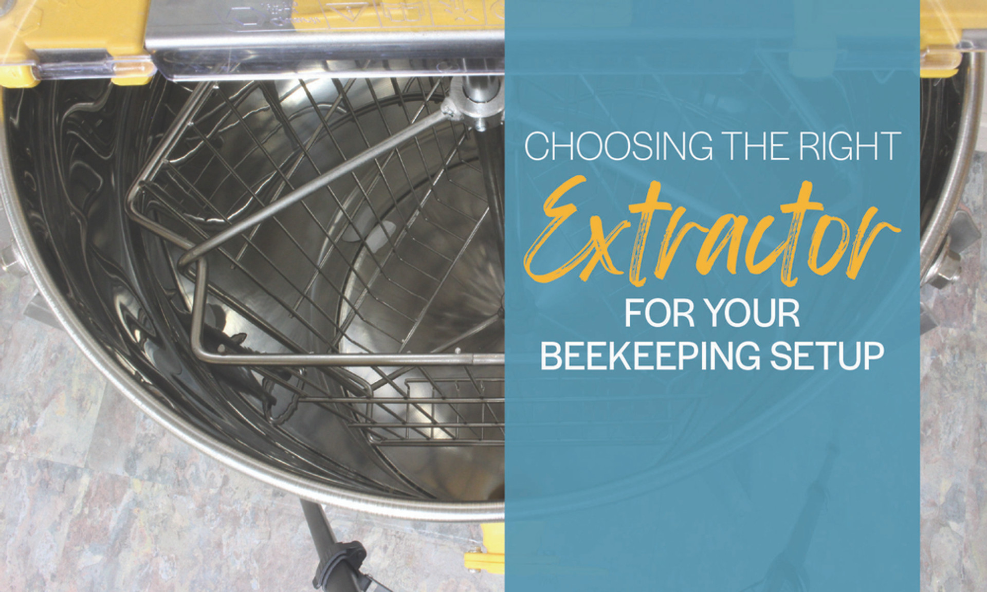 Choosing the Right Extractor for Your Beekeeping Setup thumbnail image