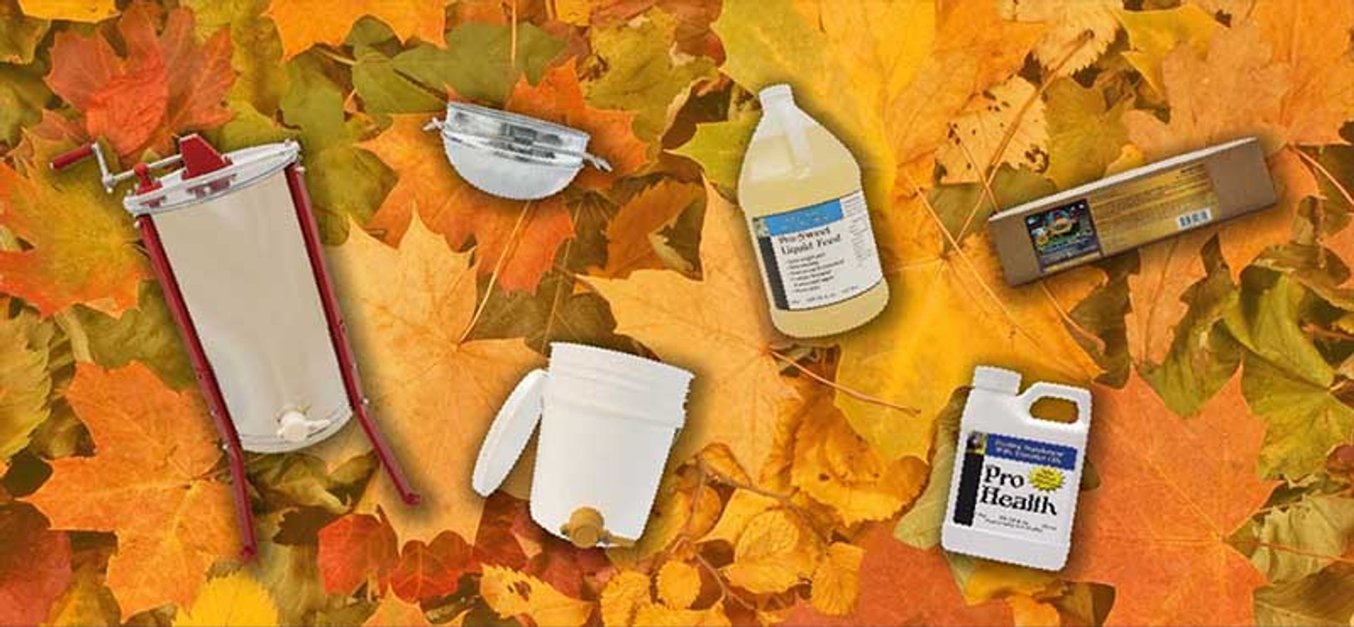 Fall Into Feeding thumbnail image