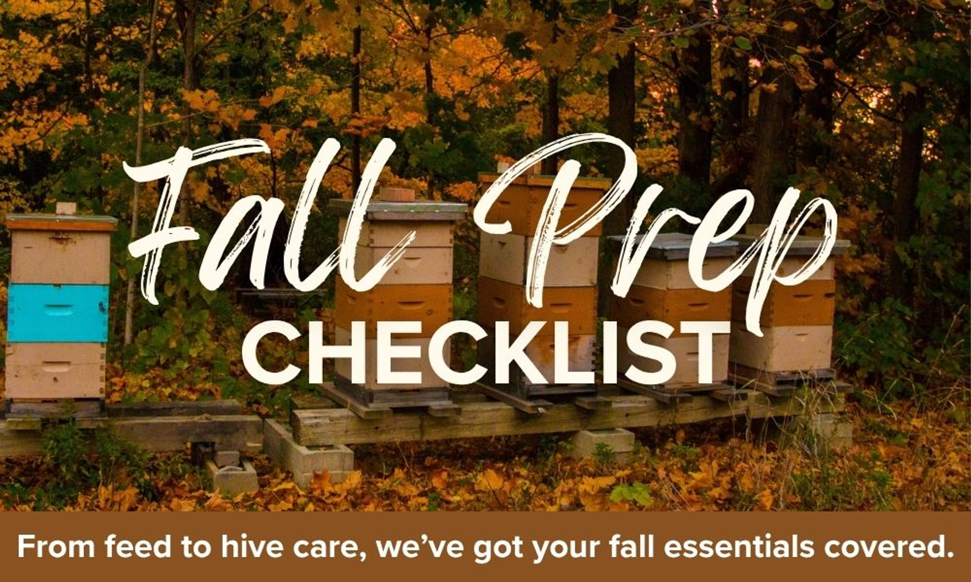 Fall Beekeeping Checklist: Setting Your Colonies Up for Winter Success thumbnail image