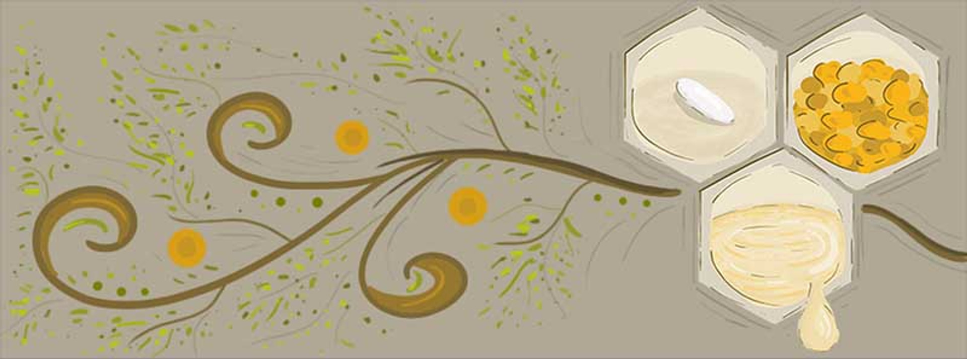 First Hive Inspection thumbnail image